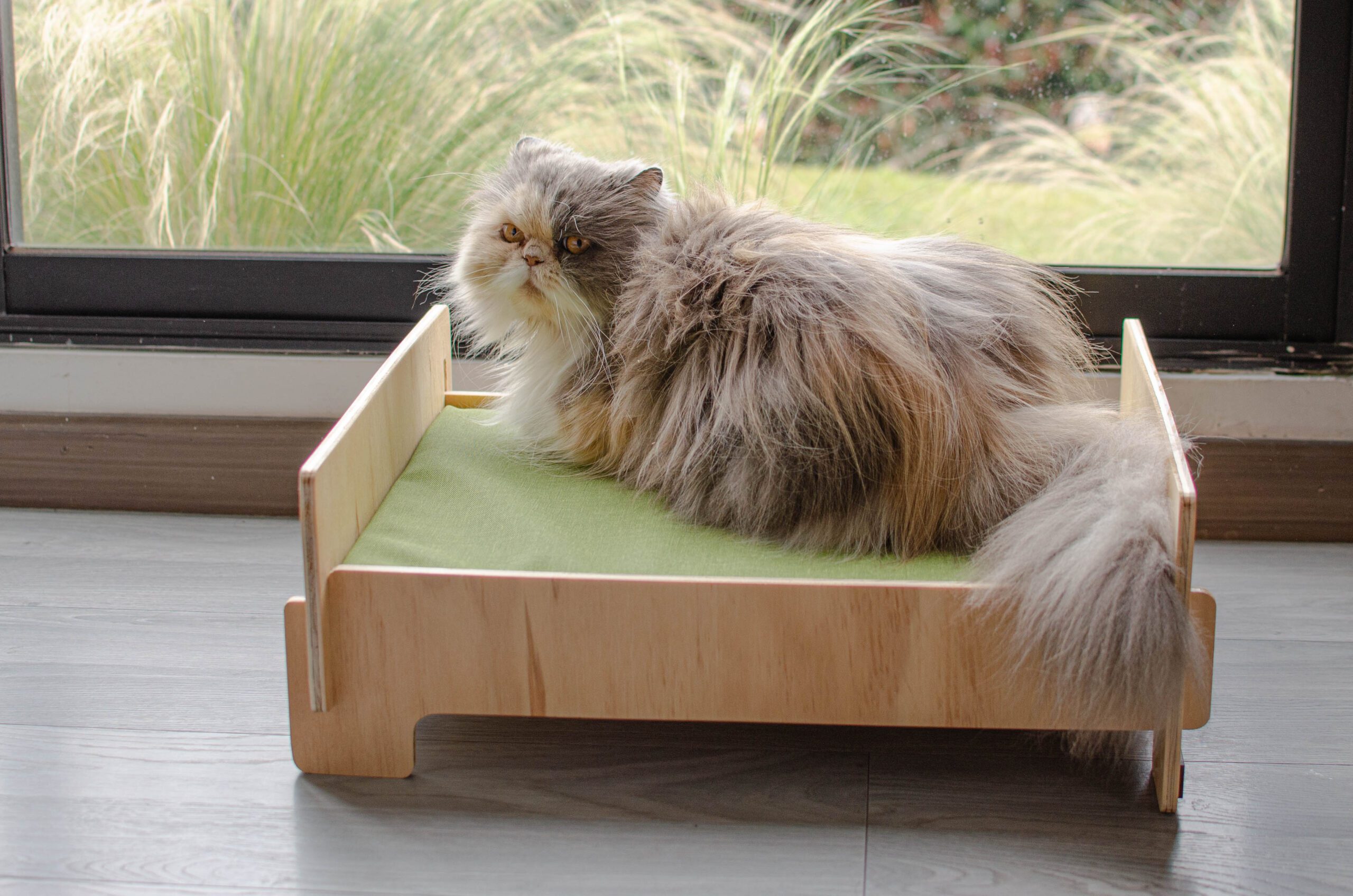 CAMA ANGORA